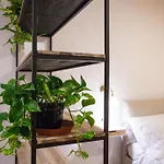 Πανσιόν Palazzo Marigliano 4*